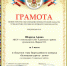 Итоги областного этапа Всероссийского конкурса «Безопасная дорога - детям» - Адамовский РОО