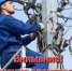 Плановые отключения электроэнергии в п. Адамовка  - Адамовский район