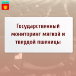 Государственный мониторинг мягкой и твердой пшеницы